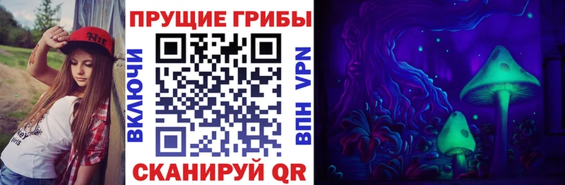 цена Невельск kraken рабочий сайт Псилоцибиновые грибы Psilocybe
